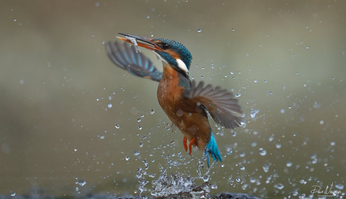 Dave Newman's Spherical Photography tweet media