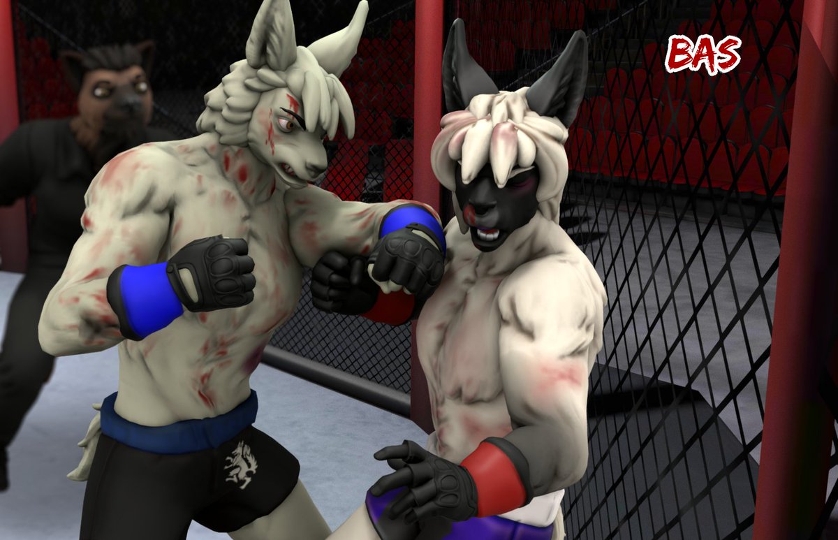 'It's a llama brawl by the edge of the cage! Ooooh hard hook from Ishigawa has Siegen's legs wobbly!' 'Rich boy's definitely losing steam, his corner is screaming to get his hands up!' Technically this is sorta a rematch/remake. New models same characters, new posing.