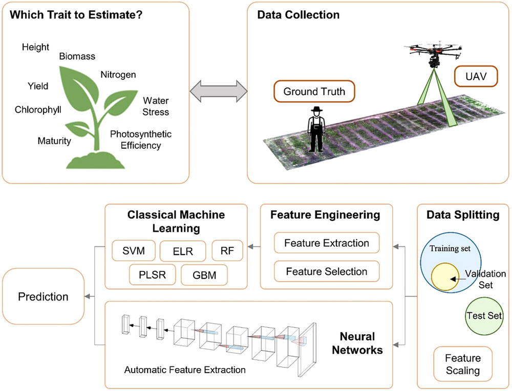 The Plant Phenome Journal tweet media