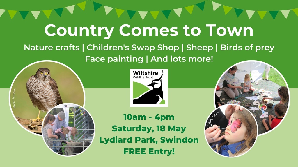 🌿 Save the date! Join @WiltsWildlife at Lydiard Park on 18 May. Enjoy nature crafts, wildlife experiences, and more! Free entry for a family-friendly day out! 

#Wildlife #swindonevents #dayoutwiththekids #swindonforfree #lowcostactivities #daysoutwithkids #wiltshirefamily