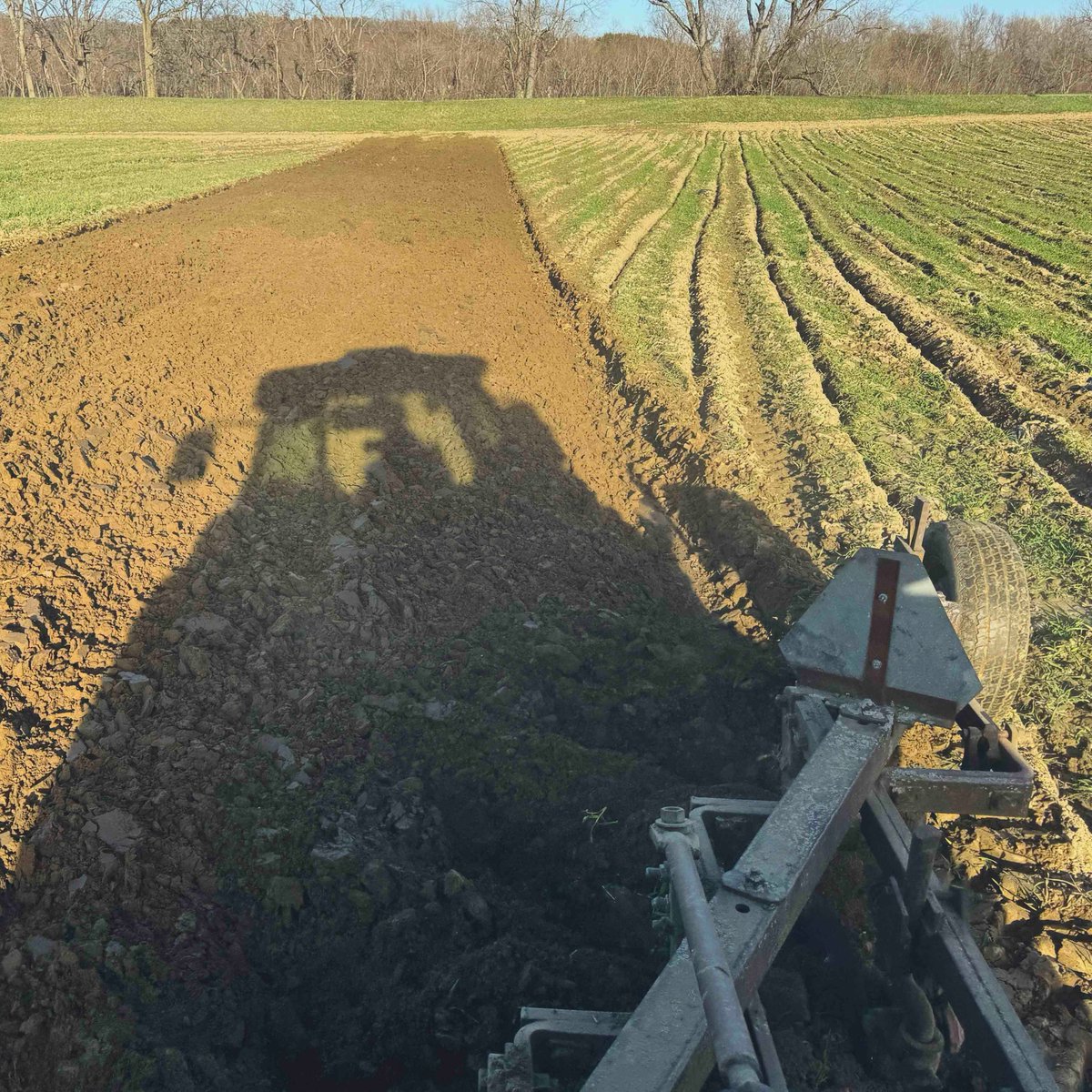 Sun's out, plows out! Finally some sunshine! You know what that means? Time to get this dirt movin'... if the weather holds, we're getting the fields prepped for some serious planting this week! #mawx #spring #getgrowing #BardwellFarm #season2024 #agriculture #aglife #farmlife