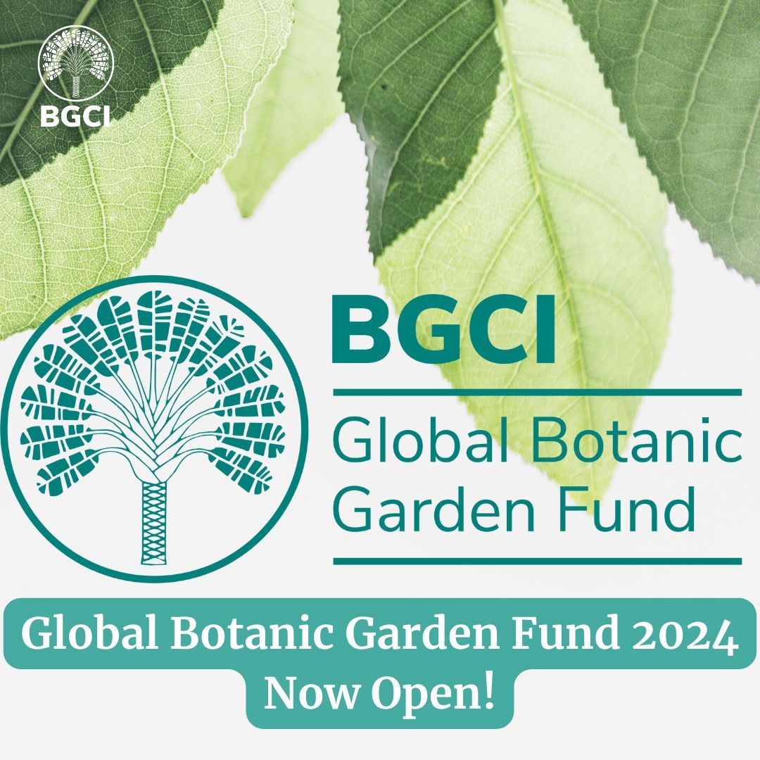 BGCI’s GBGF is now open! The GBGF is made up of grants which drive #plantconservation, #sustainability efforts, & global partnerships for #botanicgardens and #arboreta in developing countries & #biodiversity hotspots. 
Applications are open until 14/06/24
buff.ly/4axK9ks