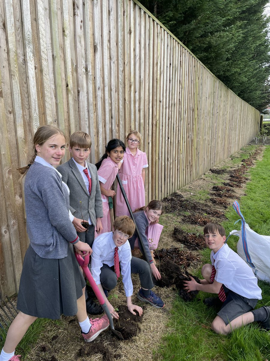 BGS_Outdoors's tweet photo. It’s our first day of gardening club this term and the children have planted 34 trees to begin creating a new wildlife habitat on the back field. @BishopsgateSch #Sustainability #harmony https://t.co/r2Yv7iZFZ9