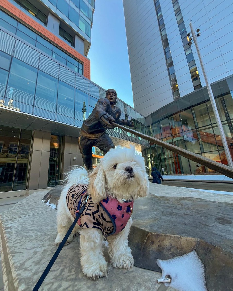 The fans are ready to paw-rty, and yes, even our furry friends! 🐶 Before Game 1 kicks off, share your @NHLJets Whiteout photos and videos with us! DM us or email kristian@downtownwinnipegbiz.com and get featured throughout the playoff season!🏒✨ #FindItDowntown