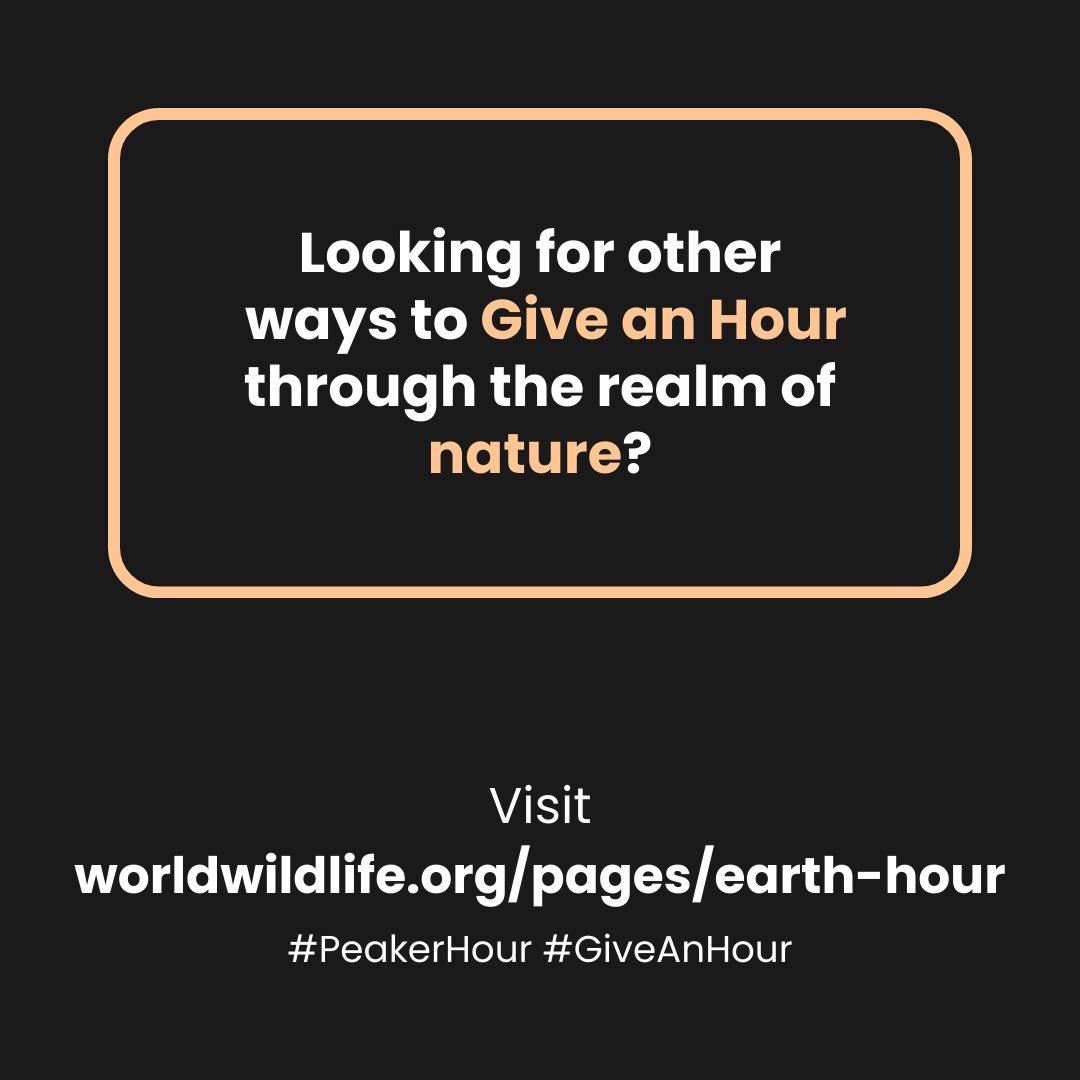 My Peak Challenge tweet media