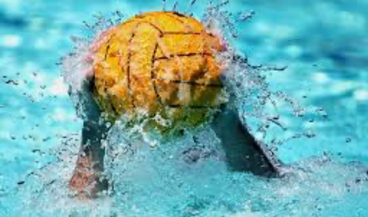 chrisfearne's tweet photo. Illum il-Kumitat Parlamentari tal-Verifika approva b’mod unanimu t-trasferiment t' art sportiva lil #Marsaskala Aquatic Sports Club https://t.co/2sLyRoA2So