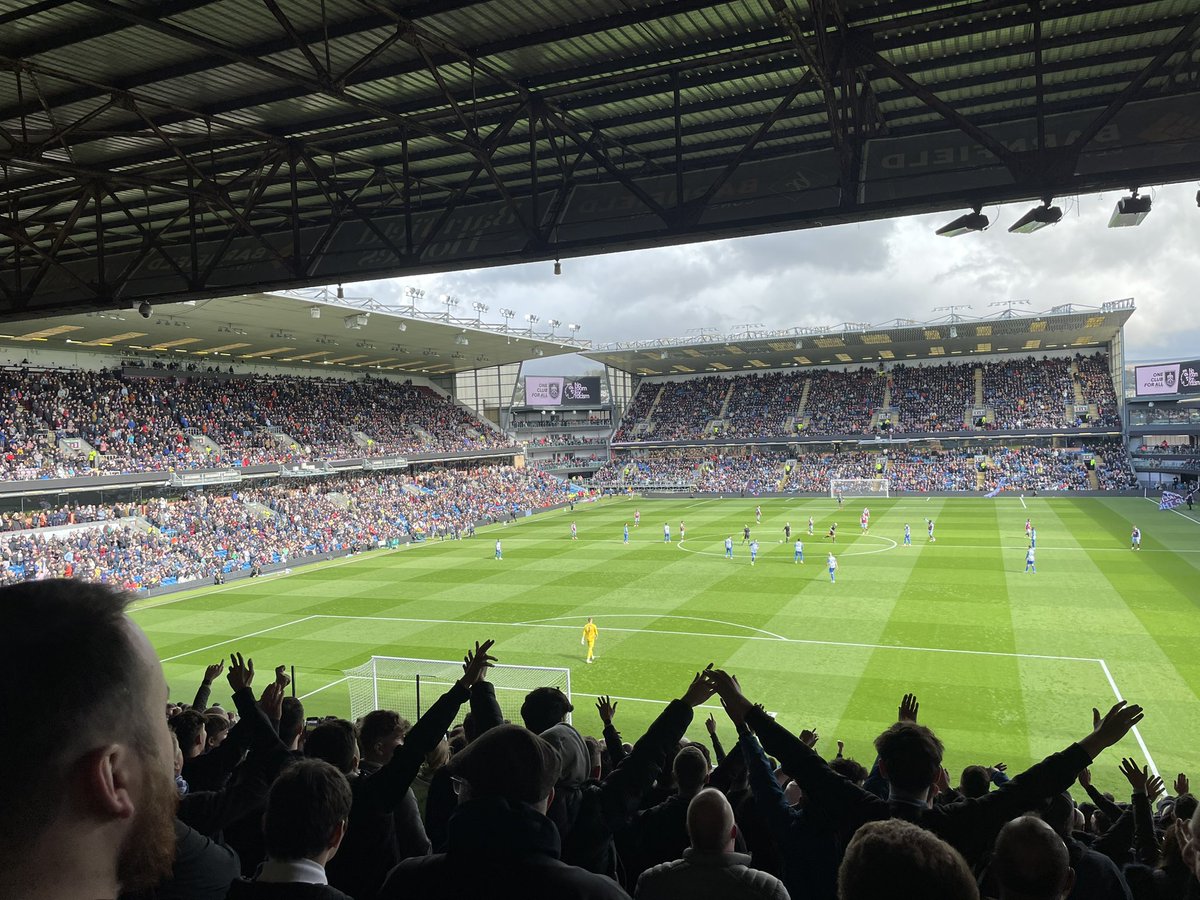 HammerBig's tweet photo. @wearebrighton https://t.co/Bpq3sVtYDf