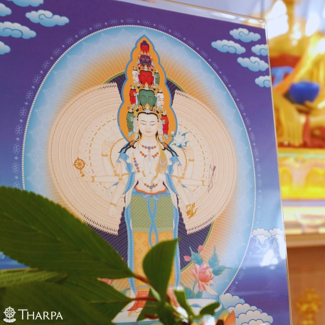 TharpaUK's tweet photo. 🤍 15 April is Buddha’s Enlightenment Day, celebrating Buddha attaining enlightenment underneath the Bodhi tree. 

🤍 On this day in Kadampa centres, we engage in a special fasting and purification retreat with prayers to Eleven-faced Avalokiteshvara! 

https://t.co/Vy6PD6cYhT https://t.co/yjeYLgvQ37