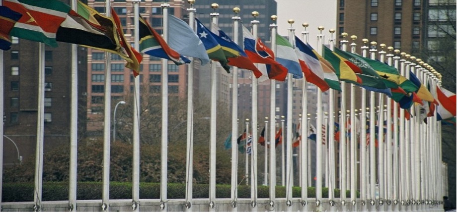 Navigate the landscape of complex global challenges with our Introduction to International Relations summer course. Dive into compelling topics such as climate change, immigration, nuclear threats, and more! Visit our website for more info and to enroll: bit.ly/4av8VBJ