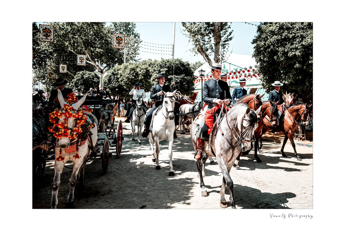 vanwolfphoto tweet picture