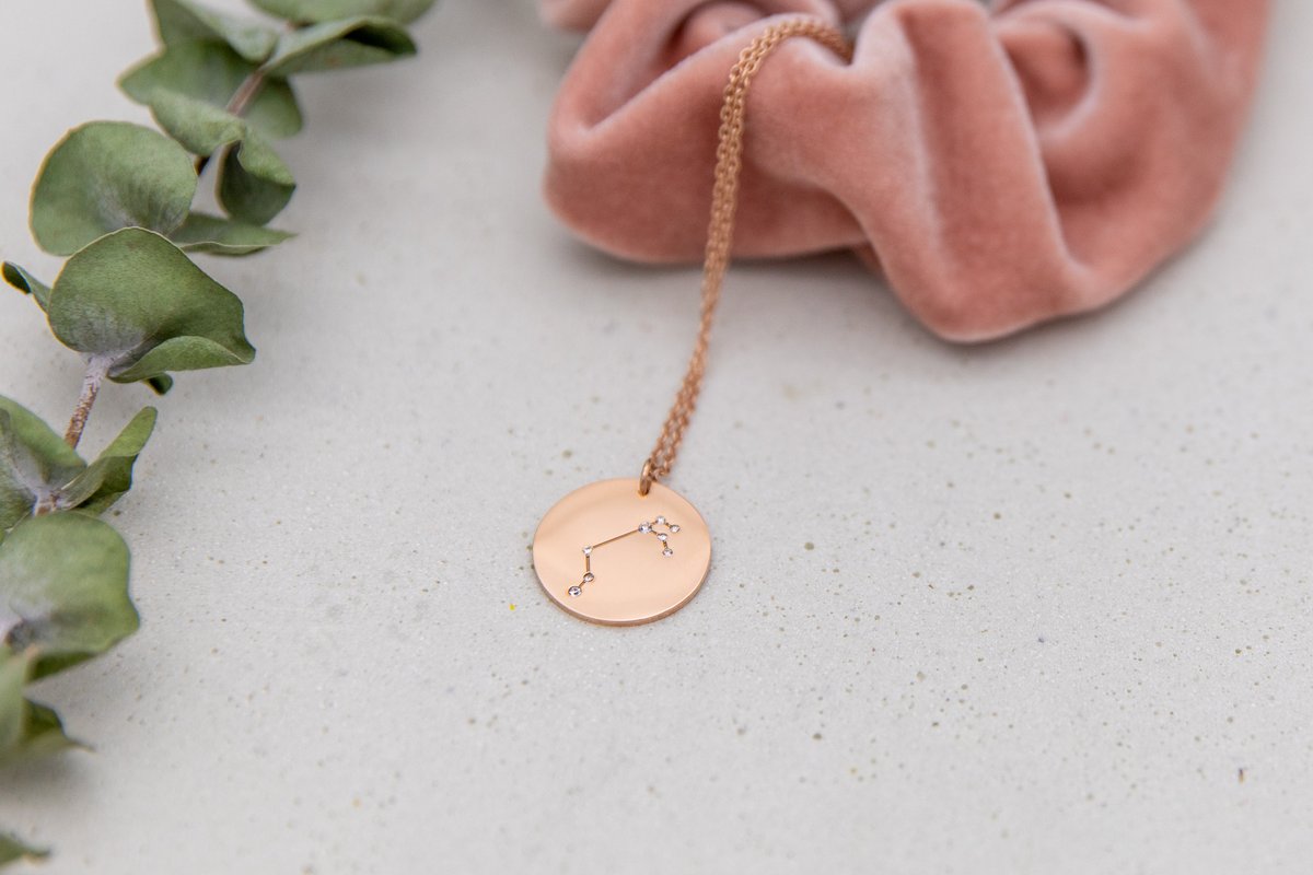 Our Aries zodiac sign necklace is the perfect companion for everyday life ♈

#jewelry #jewelryaddict #necklace #instajewelry #finejewelry #jewelrylover #jewelryoftheday #giftidea #giftideasforher #zodiac #zodiacsigns #zodiacsign