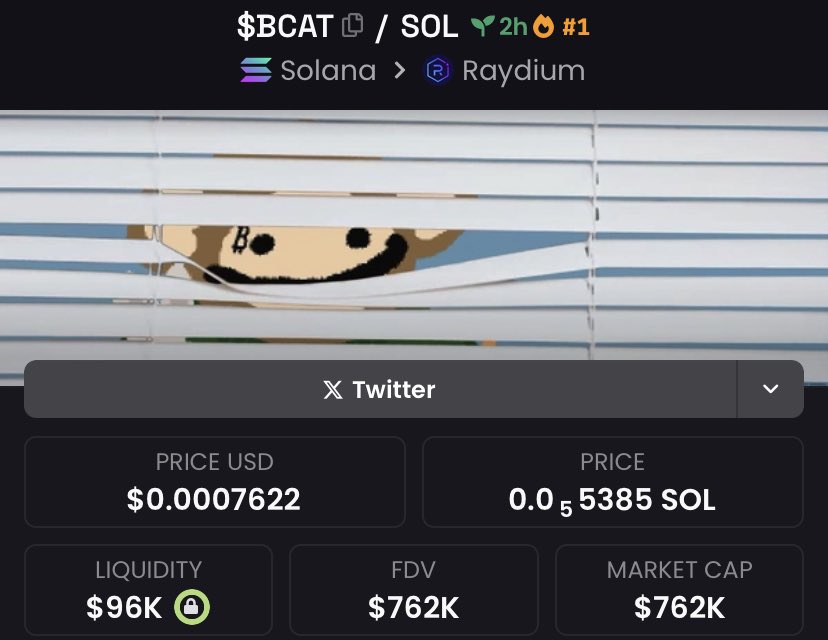 BCATCTO's tweet photo. Just hit no. 1 on dex

https://t.co/5MuRFUMACW

Check out $BCAT/SOL on DEX Screener! https://t.co/U75nHs0rBf https://t.co/QFLway4JEX