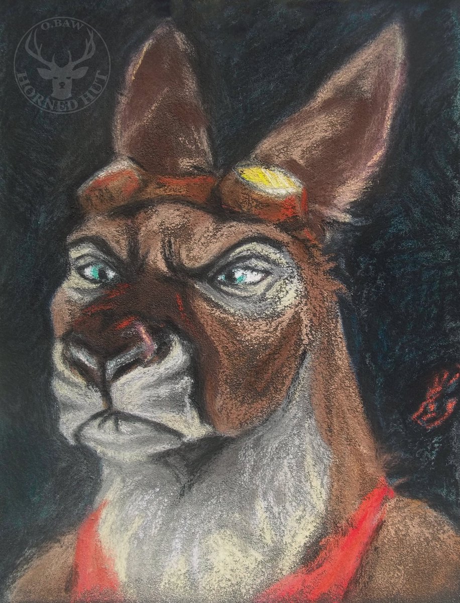 #comm #marsupial #kangaroo #portrait #anthro #pastels #sketch [C] 'Rooflection' A kangaroo that's a wombat. At least it's still a marsupial. Comm for @BosonicVinegar . Follow him if you haven't done it yet