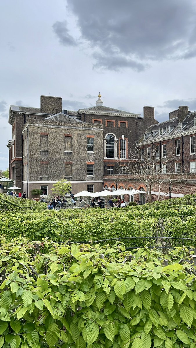 Kensington Gardens 続き🪻
一枚目遠くに見える銅像は、故ダイアナ妃です。
#ガーデニング　#gardening  #kensingtongardens #庭園めぐり