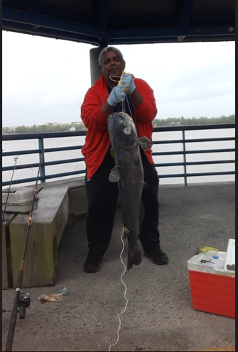Wow what a catch!  A local fisherman caught this 55-pound, 3 foot-six inches catfish at The Fly in New Orleans, and he sent WGNO a picture of his big catch! Now that's some good eating!  
Way to geaux fisherman Charles Taylor! #fisherman #fish #gonefishing #wgno @wgno #nola