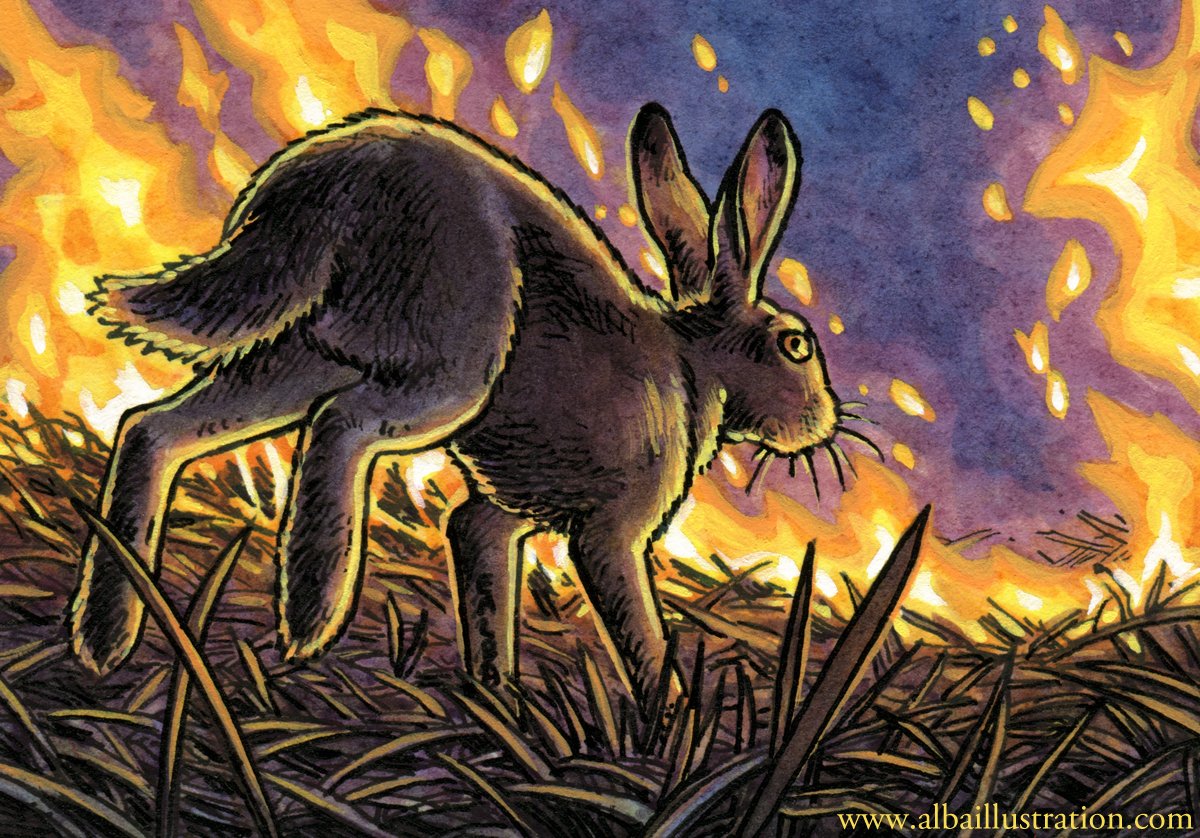 The hare runs into the fire. The fire, it takes her, she is not burned. The fire, it loves her, she is not burned. The hare runs into the fire. The fire, it loves her, she is free . . . -Terry Pratchett Ink/watercolor/acryla gouache, 2.25X3.25 inches, created for a patr○n.