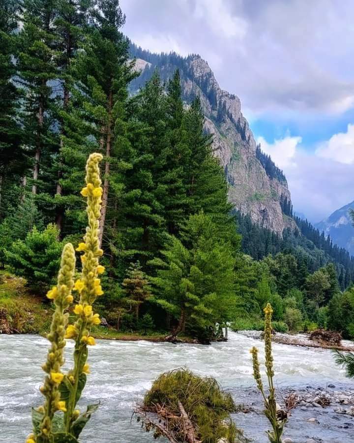 زندگی کی پہلی شرط زندہ رہنا ہے۔ کسی کے ہونے نہ ہونے سے زندگی رک نہیں جاتی، چلتی رہتی ہے۔ وہ لوگ جن کے بغیر ہم زندگی کا تصور نہیں کر سکتے، اچانک بغیر کسی وجہ کے ہمیں چھوڑ کر چلے جاتے ہیں، زندگی پھر بھی نہیں رکتی مگر دشوار ضرور لگتی ہے۔۔!!
#LovelyRunner
