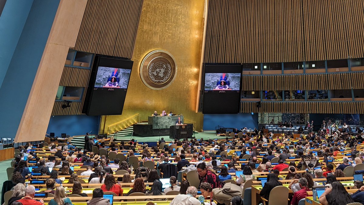 CoptSolidarity's tweet image. @CoptSolidarity is pleased to be attending #UNFPII23 in NYC this week. #Copts are the indigenous people Egypt and need protection to preserve their culture, heritage, religious sites &amp;amp; persons. Support #copticequality