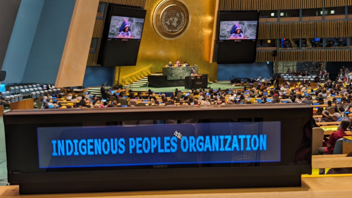 CoptSolidarity's tweet image. @CoptSolidarity is pleased to be attending #UNFPII23 in NYC this week. #Copts are the indigenous people Egypt and need protection to preserve their culture, heritage, religious sites &amp;amp; persons. Support #copticequality