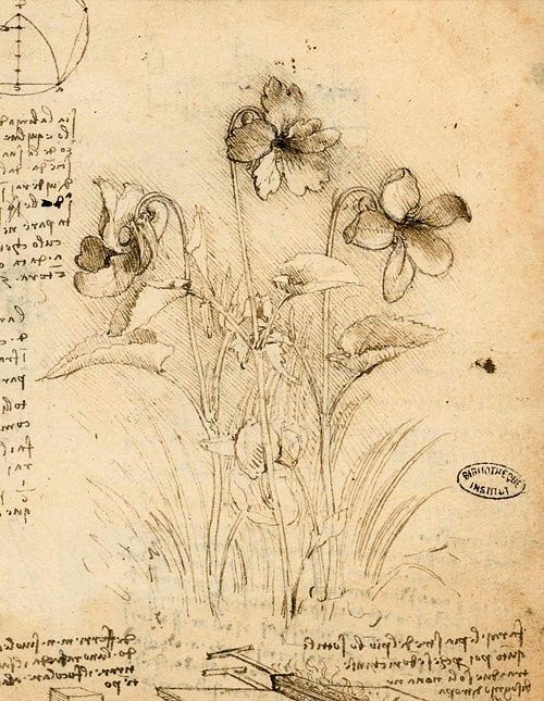 HossainNilofar's tweet photo. .

“Painting is poetry that is seen rather than felt,
and poetry is painting that is felt rather than seen.”

― Leonardo da Vinci
.

Leonardo da Vinci
Study of violets, c. 1487-90 https://t.co/1R9DxdOclk