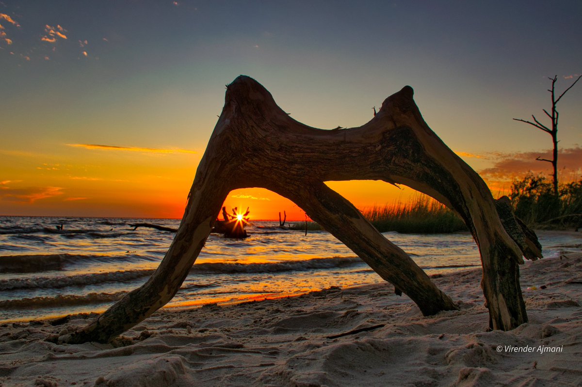 Last night I transformed a piece of driftwood from Fontainebleau State Park into a captivating sunset prop, igniting a sense of creativity and optimism! #VisitTheNorthshore #sttammany #Louisiana #fontainebleaustatepark #Mandeville