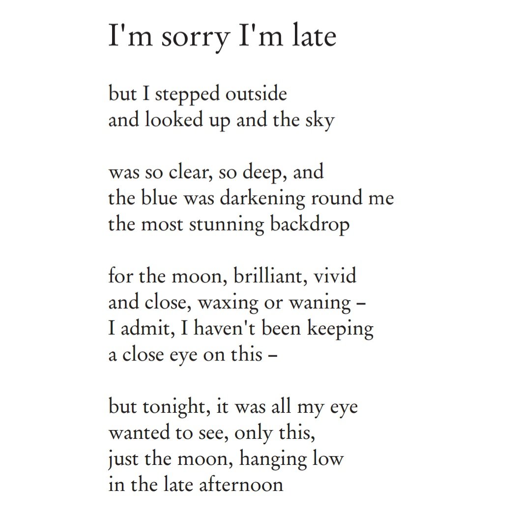 Halberd Books volume 1, chapbook 5

Songs of Captivity and Songs of Escape

16 poems about facing myself and reaching out to the truth

by David M. Briggs

#poetry #poem #poems #quote #quotes #book #books #chapbook #love #lovequotes #politicalpoetry #queerpoetry #queerart #queer