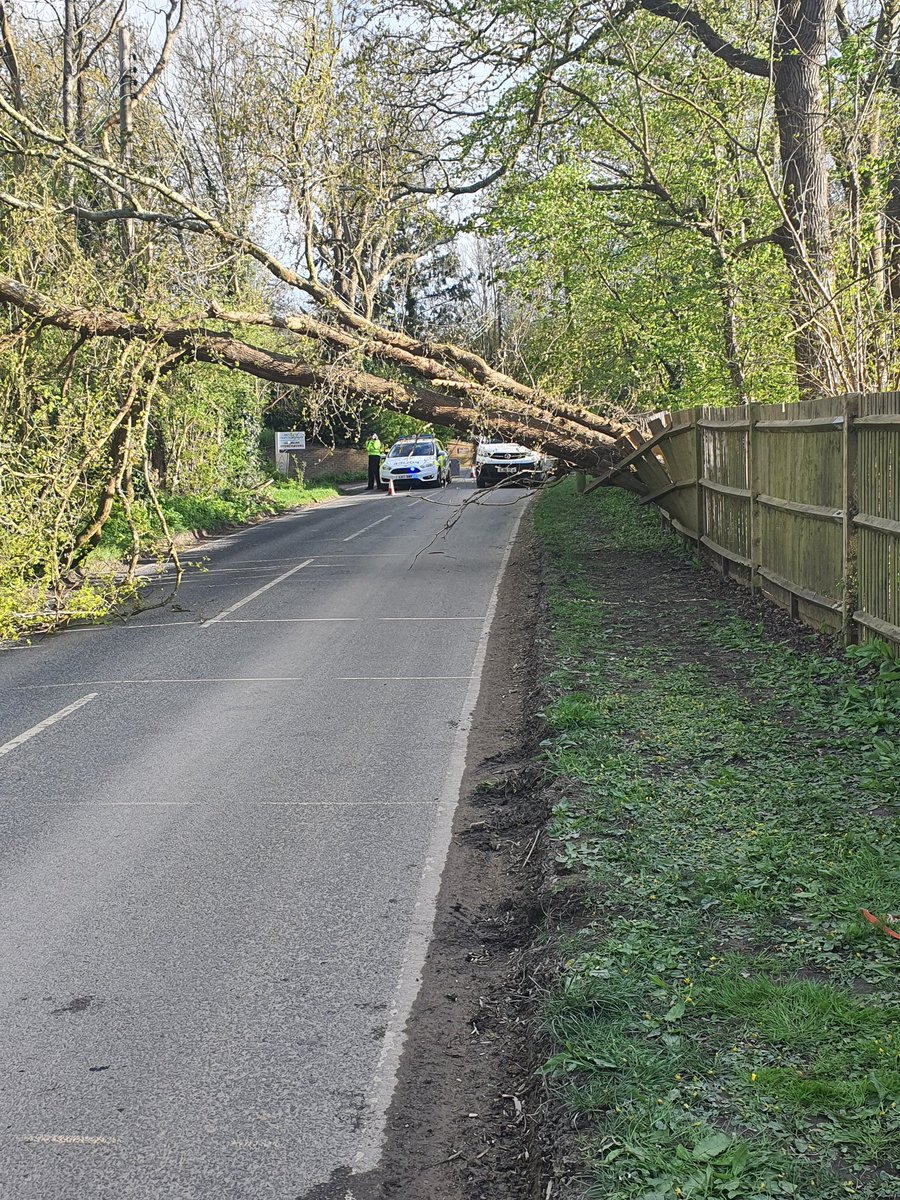 OCKLEY Lane tree blocking the road please avoid thd area #Hassocks