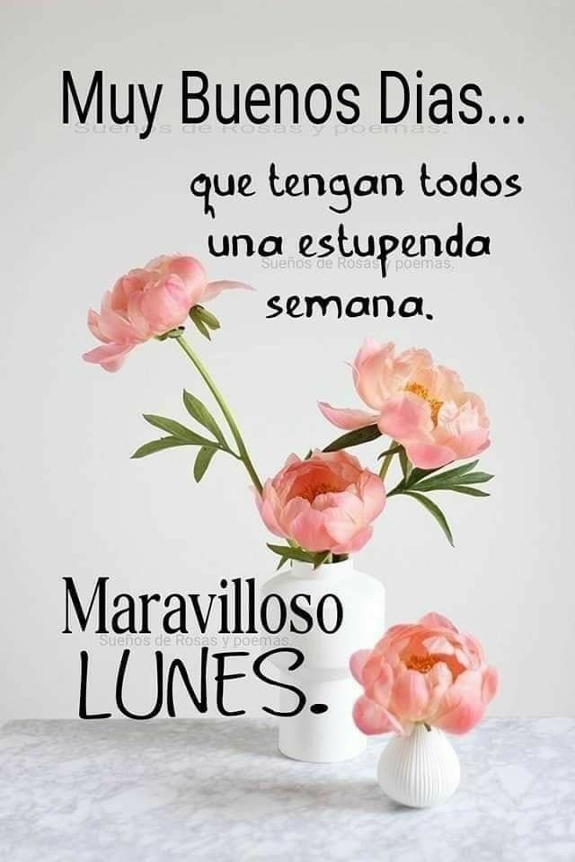 Holaaa bellezas.. Estupendo inicio de semana.. Dios les regale en cada uno de sus días su protección y así les libre de todo mal, de las personas violentas y les bendiga su economía. Abrazo🙏🤗☀️