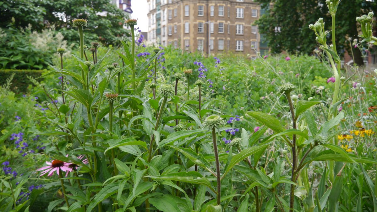 Big thanks to everyone, who have visited, contributed and suggested parks over the last two weeks 🙏 It's been really nice to see the overwhelming interest in green spaces - close to 10,000 visitors so far! 💚 helenilus.com/london-greengr…