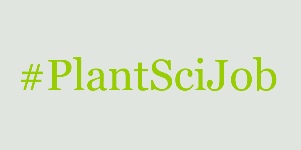 #PlantSciJobs
PostDoc position: Manipulation of protein translation by pathogenic bacteria. 

In @SuayibUestuen's lab
📍@ruhrunibochum
deutsche-botanische-gesellschaft.de/en/job-opening…
