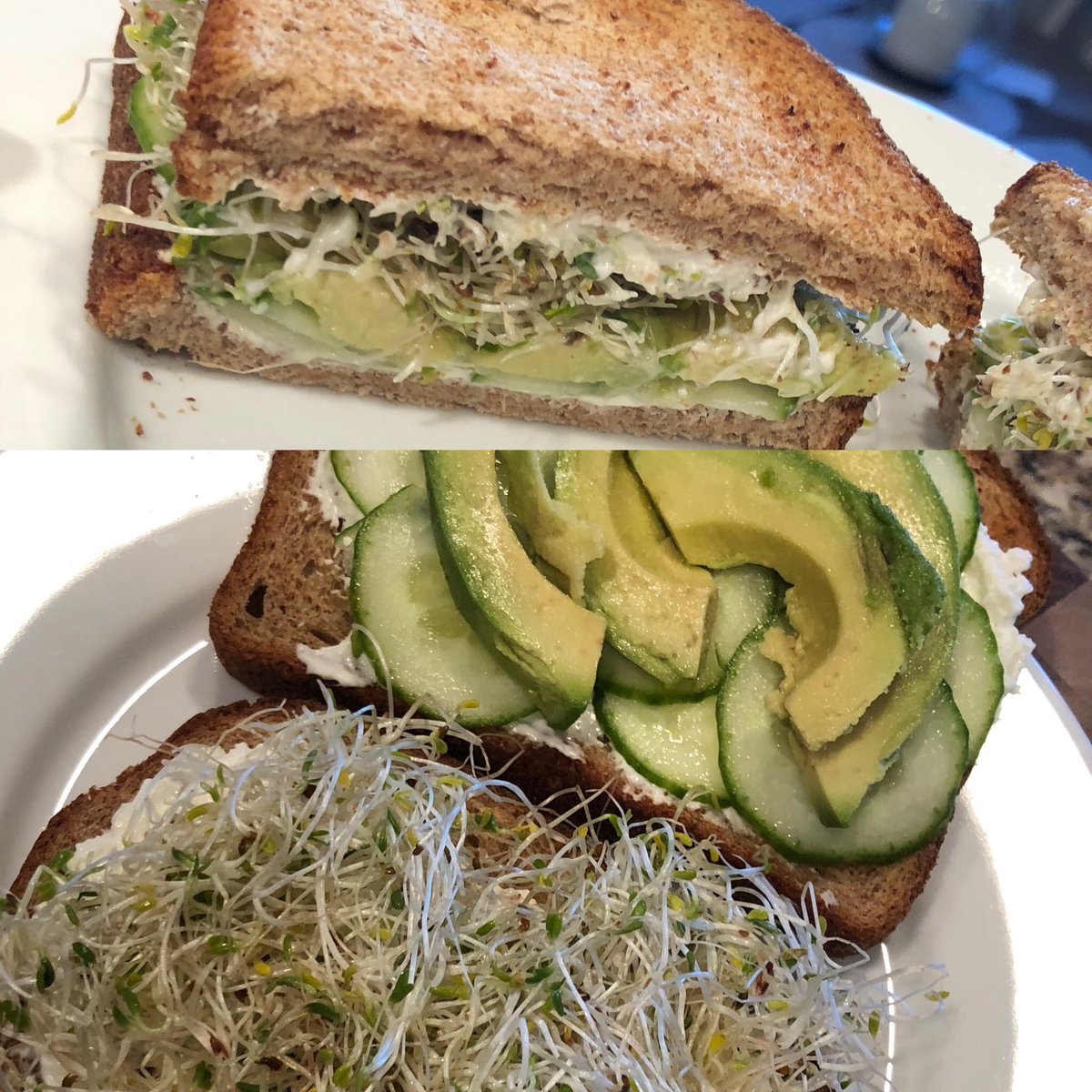 Would you eat my lunch, or are you appalled by it? 🤣🤣🤣 Whole wheat toast, whipped cream cheese, cukes, avocado, alfalfa sprouts 🥪