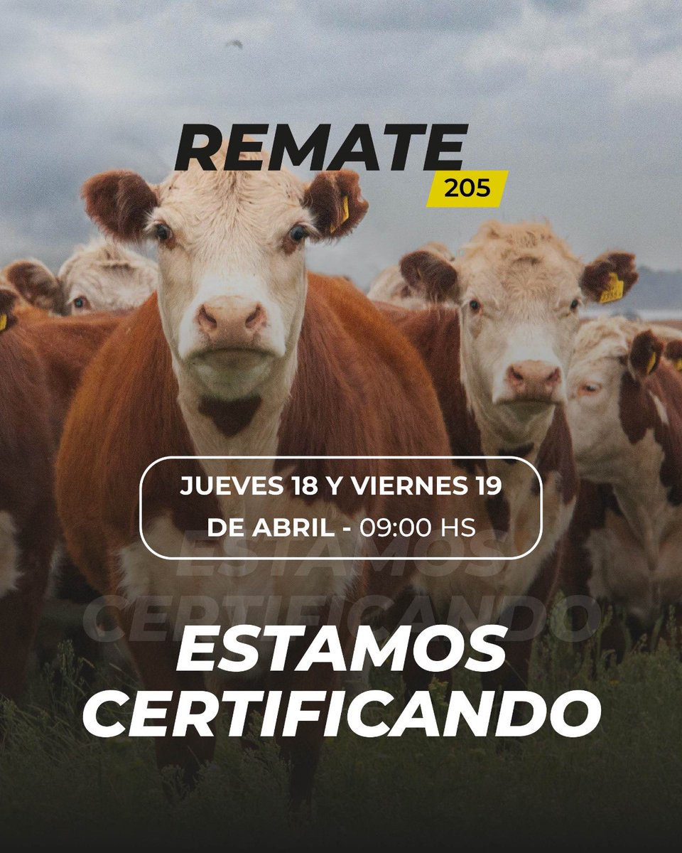 lote21 (@lote21) on Twitter photo 