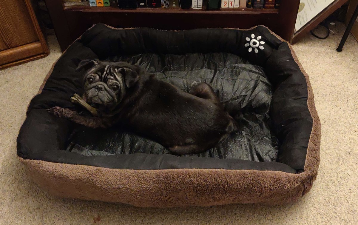 🌷˚ʚ Brenda ɞ˚ 🌷 tweet media