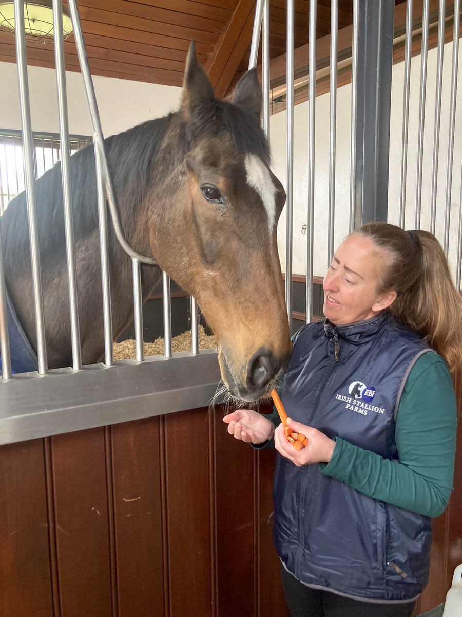 It was an absolute honour & privilege to meet this very special senior gentleman today, Istabraq. What a Hero. What a Champion. 
#Istabraq #MartinstownStud