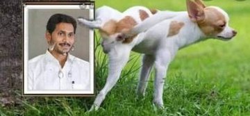 climatesins's tweet image. #apcid interrogate why this dog is pissing specifically on @ysjagan pic
