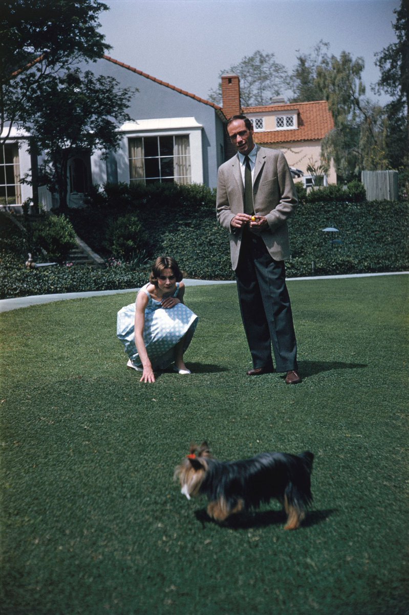 Audrey Hepburn, Mr. Famous and Mel Ferrer photographed by Richard Miller at the Bel-Air Hotel, 1957