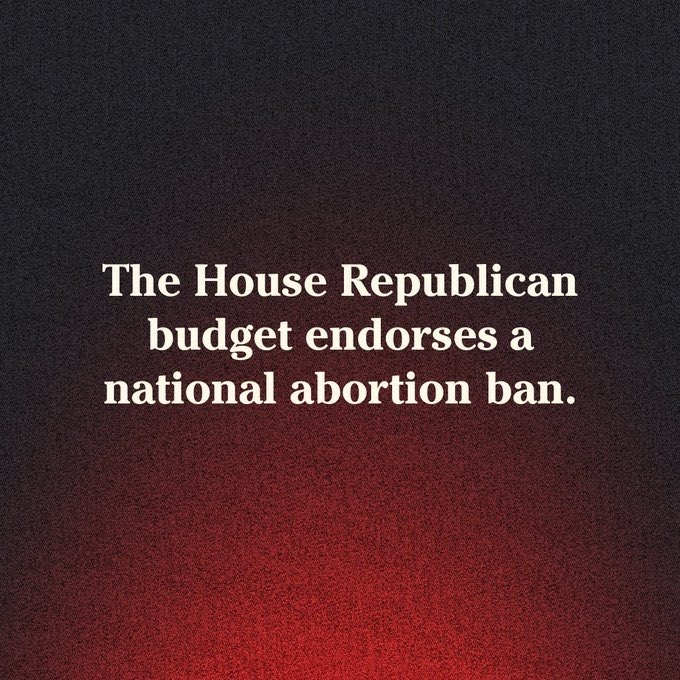 While Democrats work to make life easier for hardworking American taxpayers, Trump and MAGA Republicans continue to attack our fundamental freedoms, plotting to criminalize abortion nationwide and undermine our democracy. #BlueWaveRising