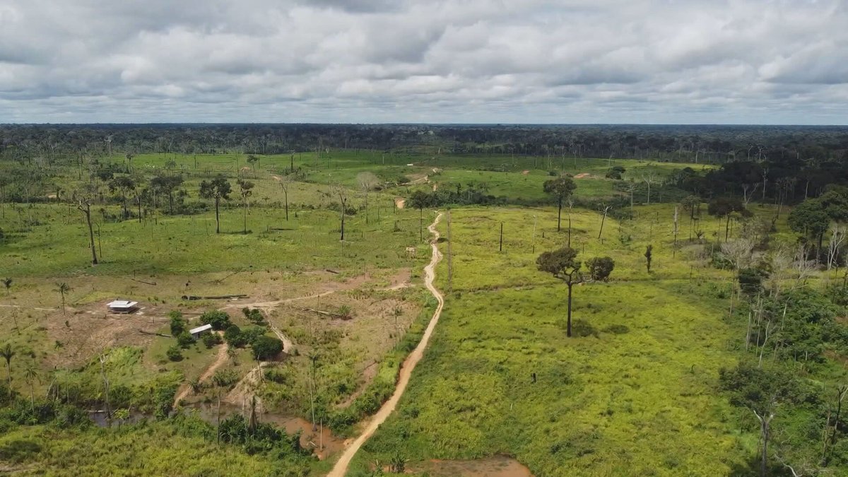 DENÚNCIA | Policiais do Acre estariam atuando em conflitos agrários na área de uma fazenda no Sul do estado. Segundo o Incra, a área não pertence ao dono das terras, mas sim à União. O Tribunal de Justiça do Amazonas está investigando o caso: glo.bo/3Q2FZIR #JH