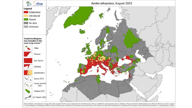 Dengue “homegrown” in Europe (2022 to 2023) ncbi.nlm.nih.gov/pmc/articles/P…