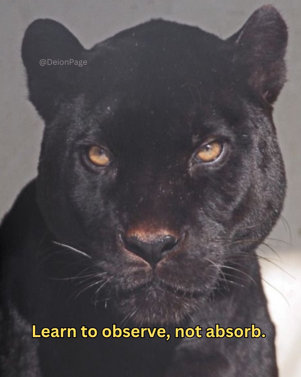 Learn to observe, not absorb.