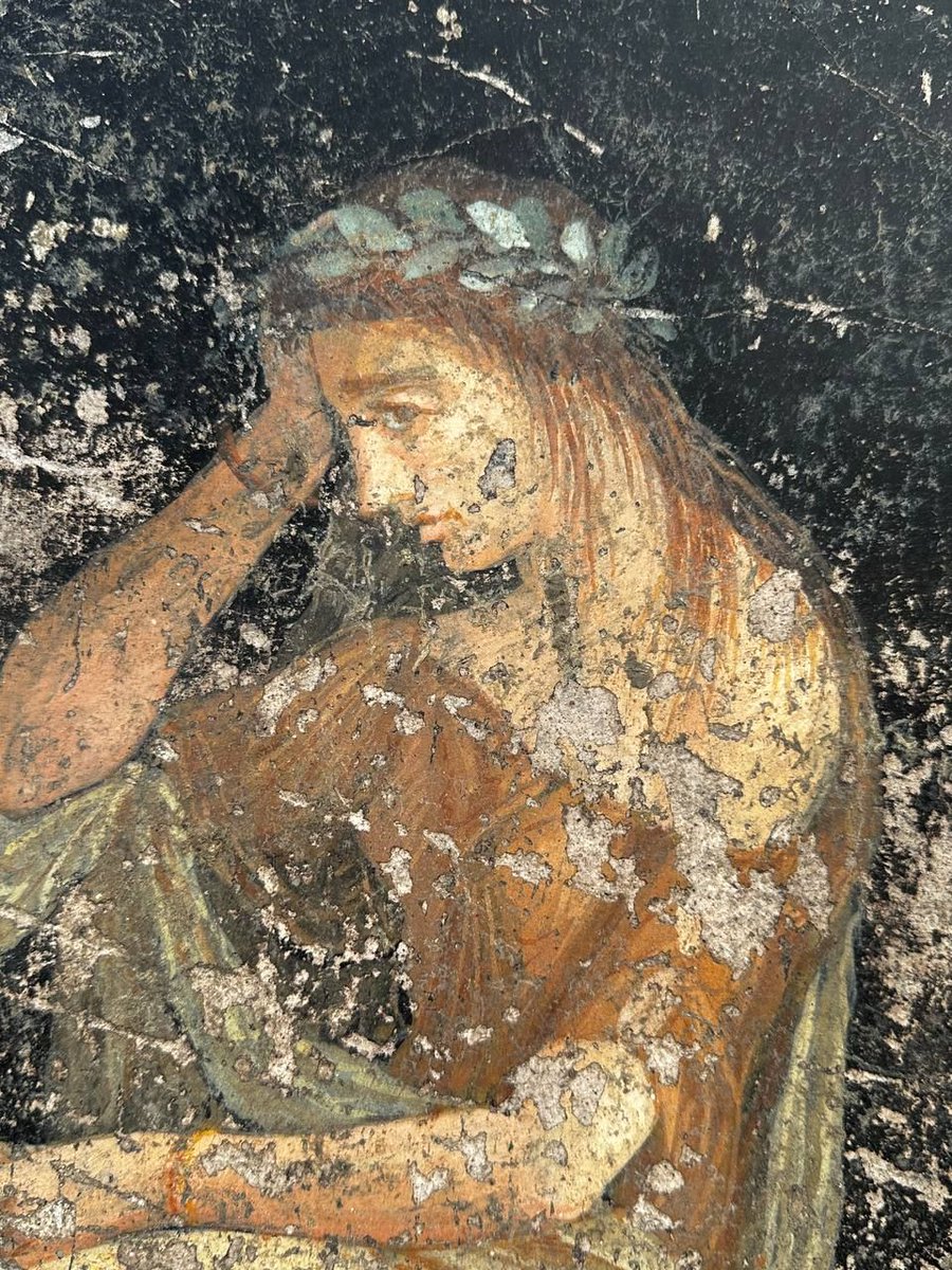 L’ultima meraviglia di Pompei. Scoperto un salone affrescato con le storie della guerra di Troia arte.it/notizie/napoli…