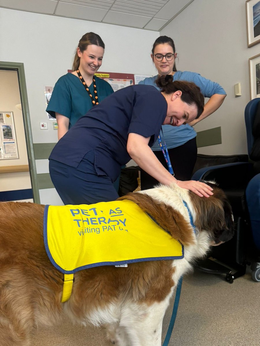 CwmCare's tweet photo. Another fab visit from our PAT Dog Myfi ๐พ The benefits of animal assisted therapy were evident today amongst the patients, relatives and staff members #PATDogs #AnimalAssistedTherapy https://t.co/pfHKZDptwJ