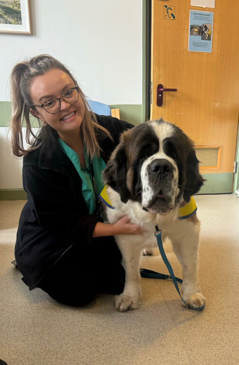 CwmCare's tweet photo. Another fab visit from our PAT Dog Myfi ๐พ The benefits of animal assisted therapy were evident today amongst the patients, relatives and staff members #PATDogs #AnimalAssistedTherapy https://t.co/pfHKZDptwJ