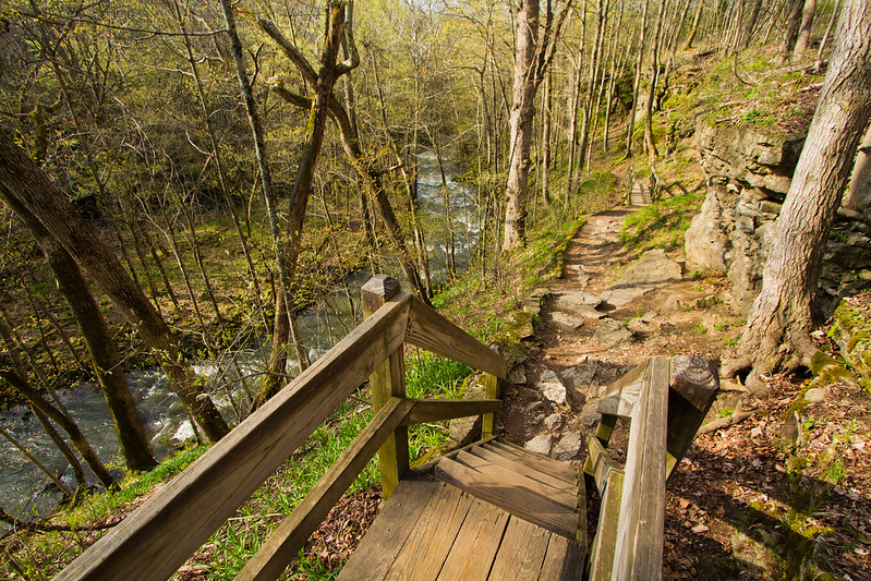 Marvel at the sights at Clifton Gorge State Nature Preserve, home to the most notable scenic gorge in western Ohio! You'll see trees, shrubs & wildflowers decorating the limestone, dolostones & shale formations. Learn more from Ohio Geological Survey: bit.ly/3xhbjgK