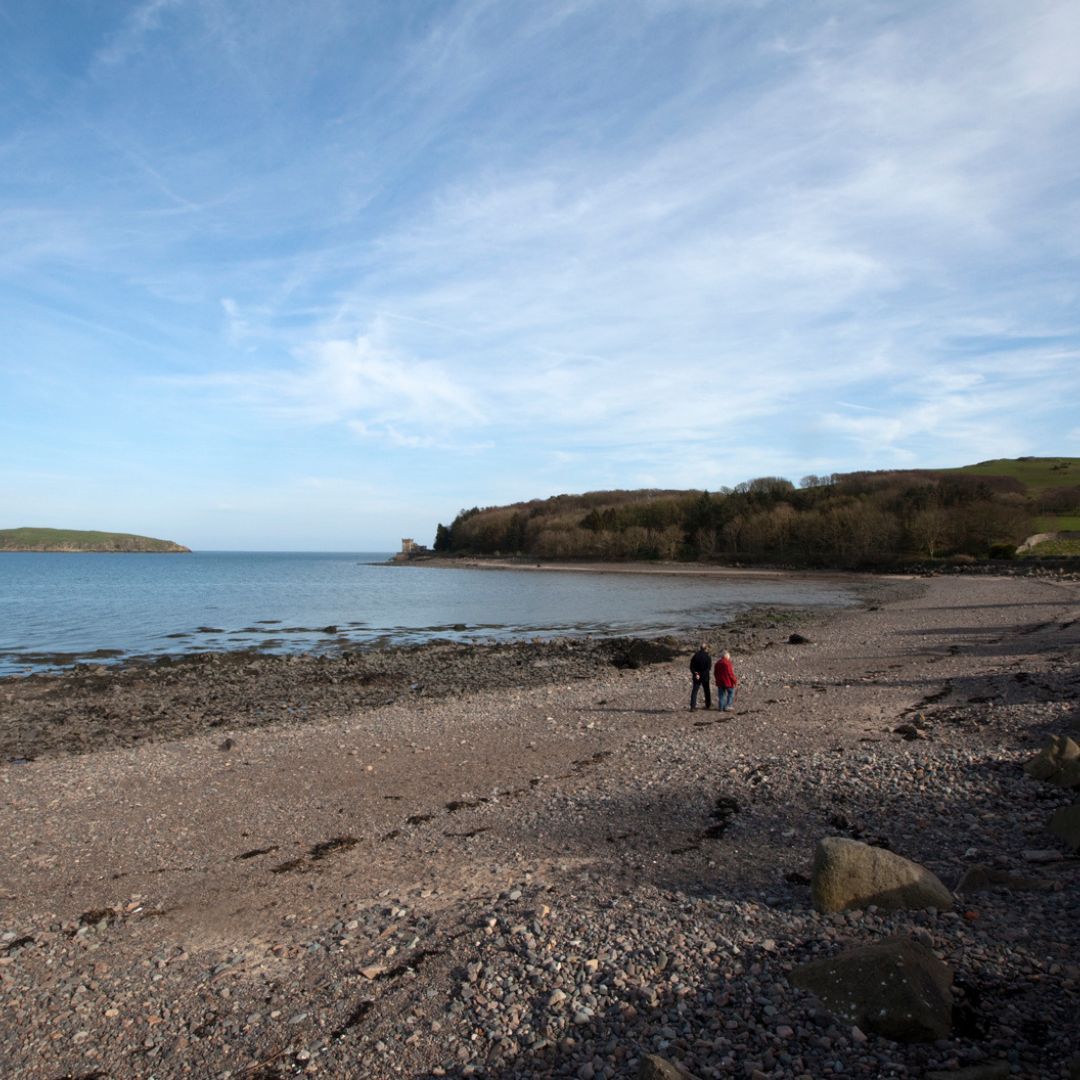 Galloway NPA tweet media