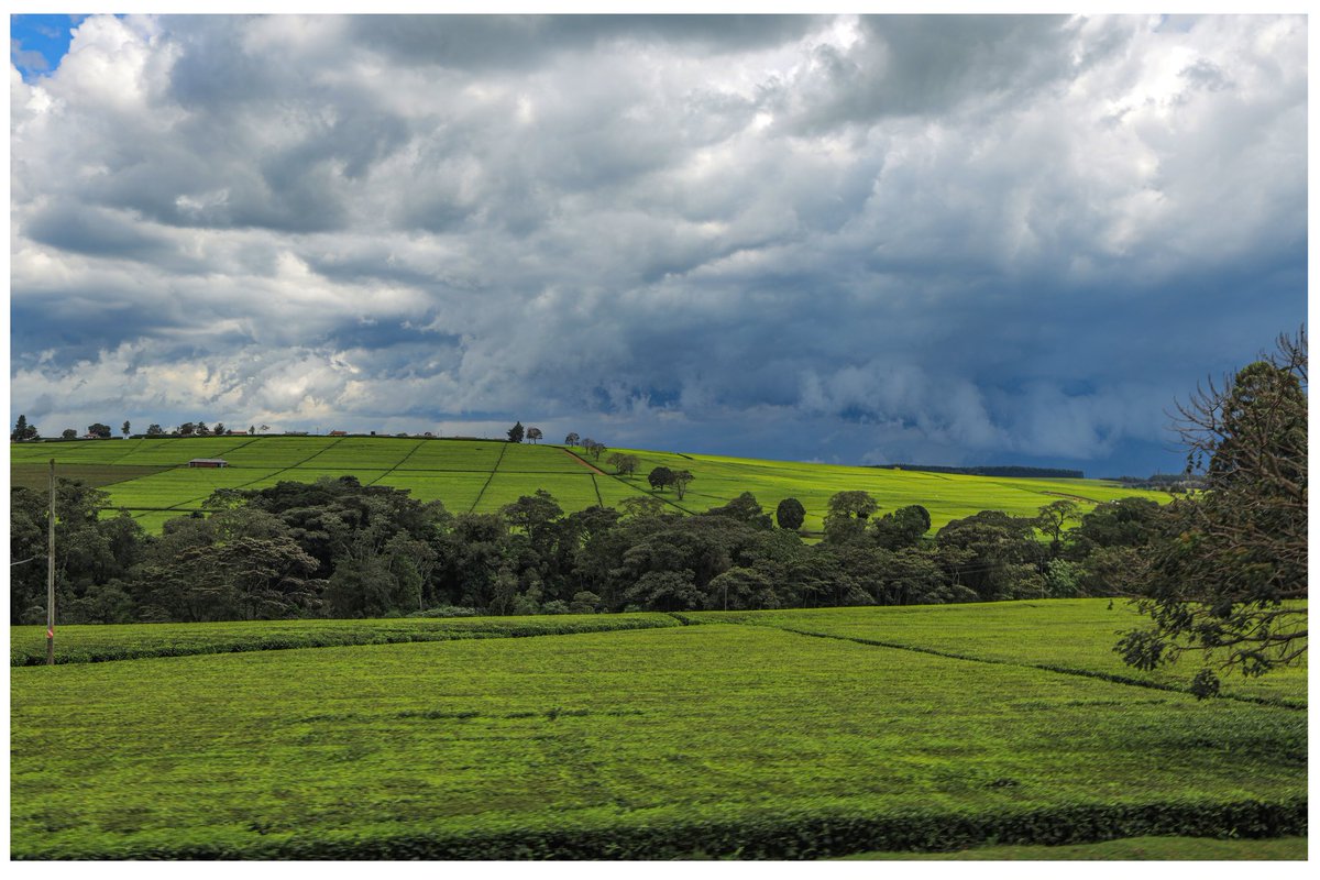 marvinmiles256's tweet image. #FortPortal sits at the foot of the Rwenzori Mountains, also known as the &quot;Mountains of the Moon&quot;. The area around the city is filled with crater lakes, lush green hills, and waterfalls. 
📸 credit @marvinmiles256
#ExploreUganda @MTWAUganda @TourismBoardUg