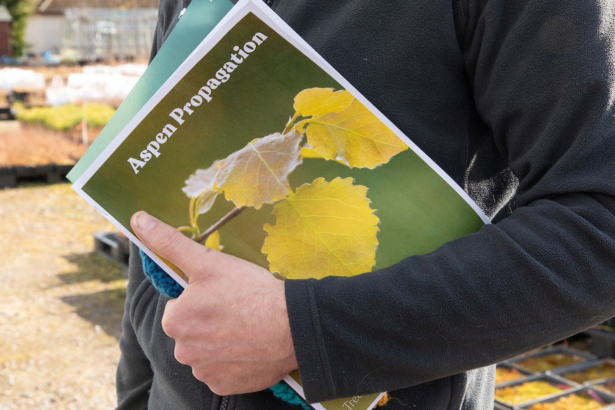 Last month at @VisitDundreggan, keen aspen growers learned about new propagation techniques. Aspen is native to Scotland, supporting a wealth of biodiversity, but has become incredibly rare. Find out more about this captivating tree species: scotlandbigpicture.com/painting-scotl…