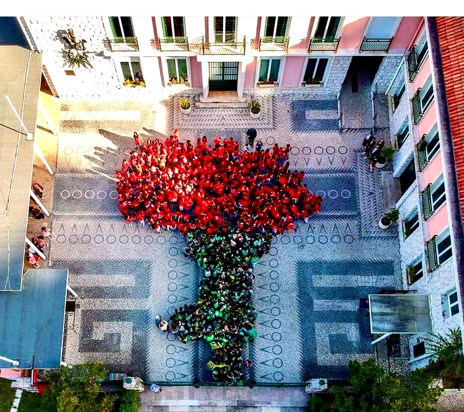 Dans la cour d’honneur du lycée français de #Lisbonne les élèves ont composé un œillet géant en l’honneur… de la révolution des œillets et des 50 ans de liberté. #50anos25abril #Lisboa #Portugal #Libertade