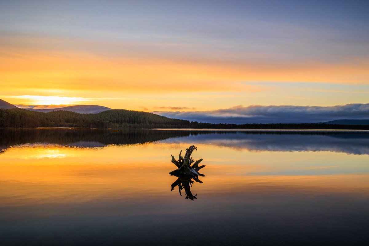 Still. A calm evening on Loch Morlich.