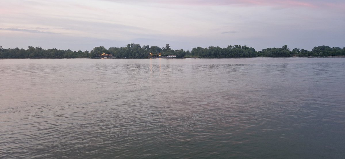Mutno Dunavo